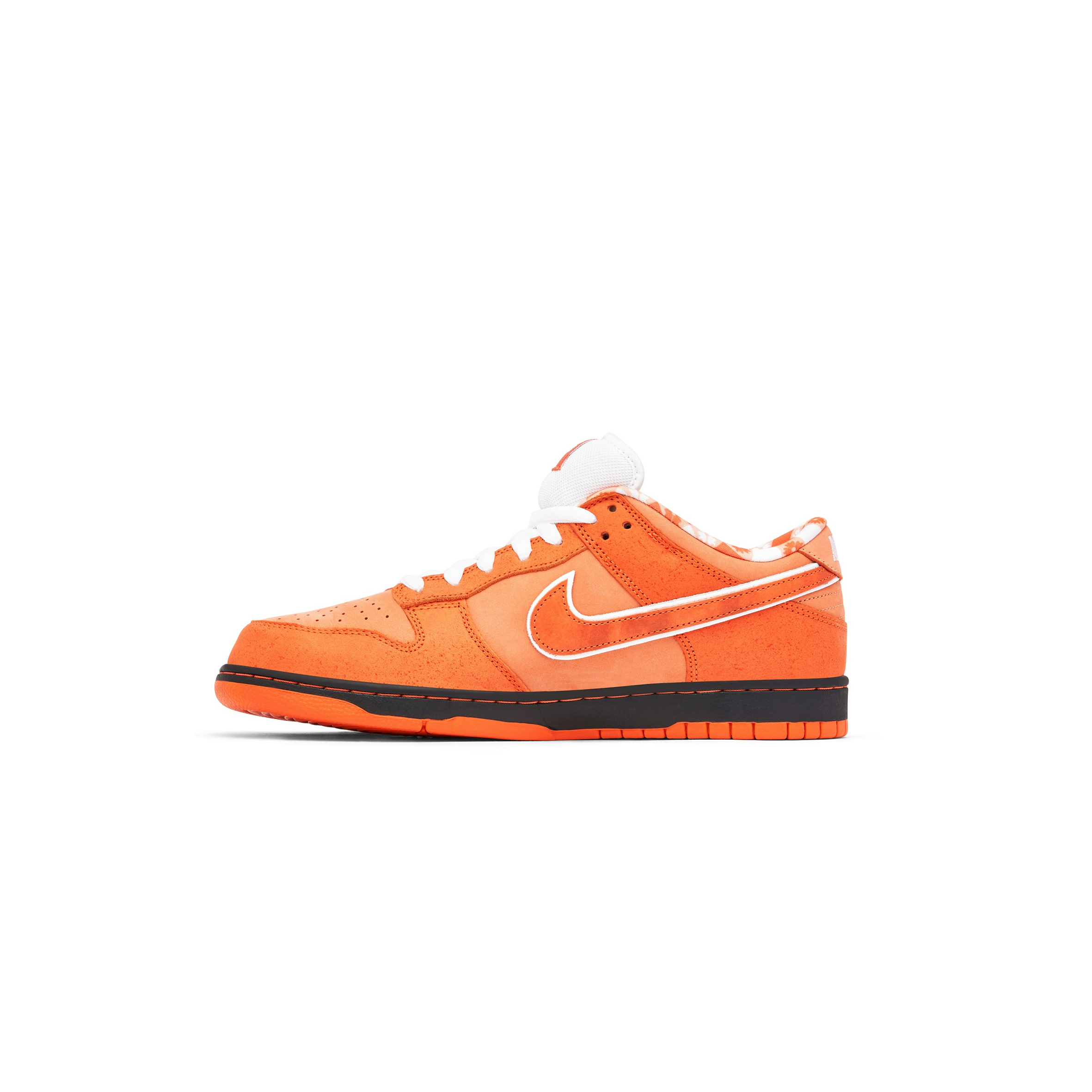 NIKE CONCEPTS X NK SB DUNK LOW FD8776-800